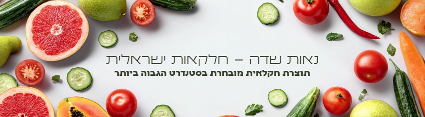 מיצים